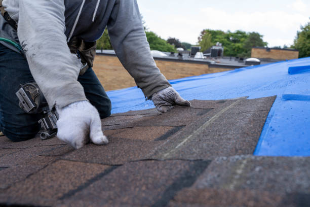 Trusted Friars Point, MS Roofing Contractor Experts